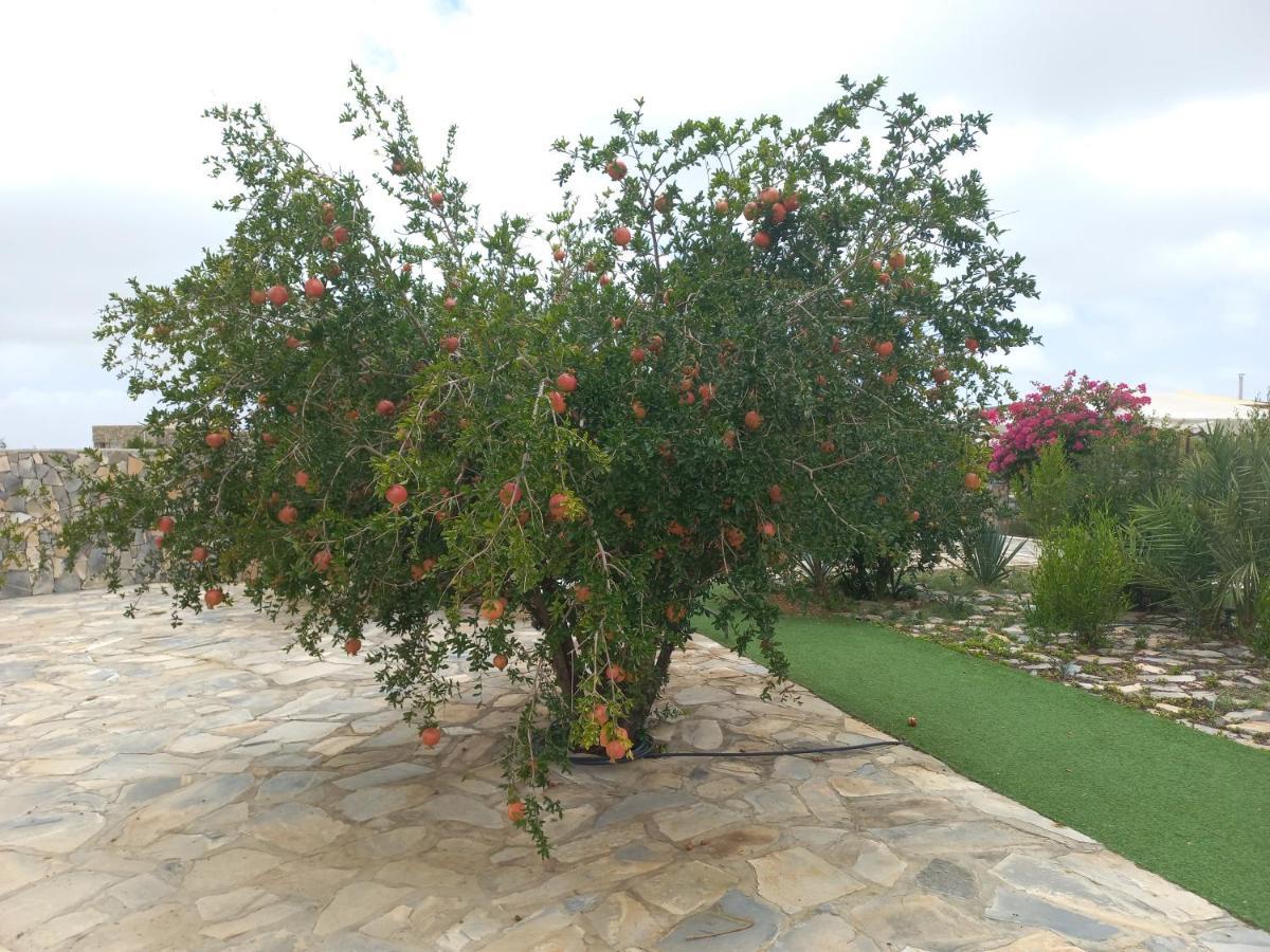 Jebel Shams Resort منتجع جبل شمس Dar Sawda Ngoại thất bức ảnh